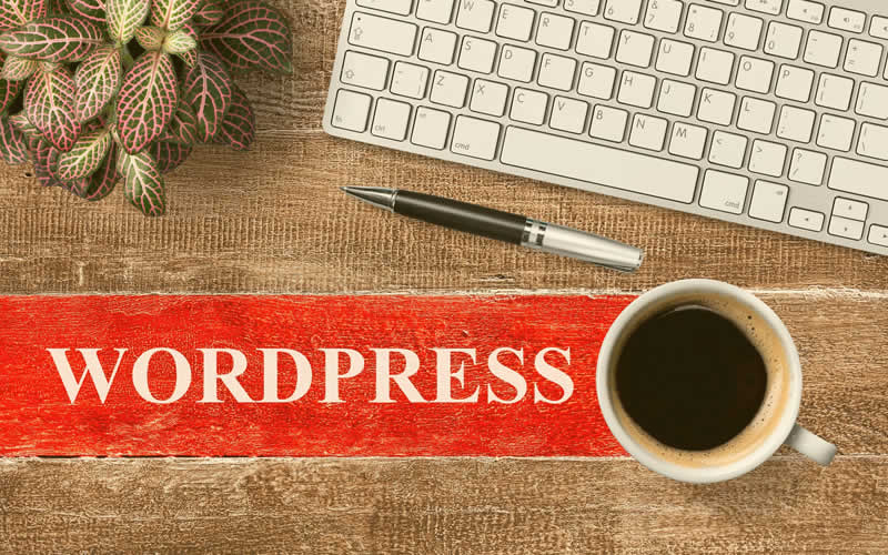 Learn Virtual e o WordPress